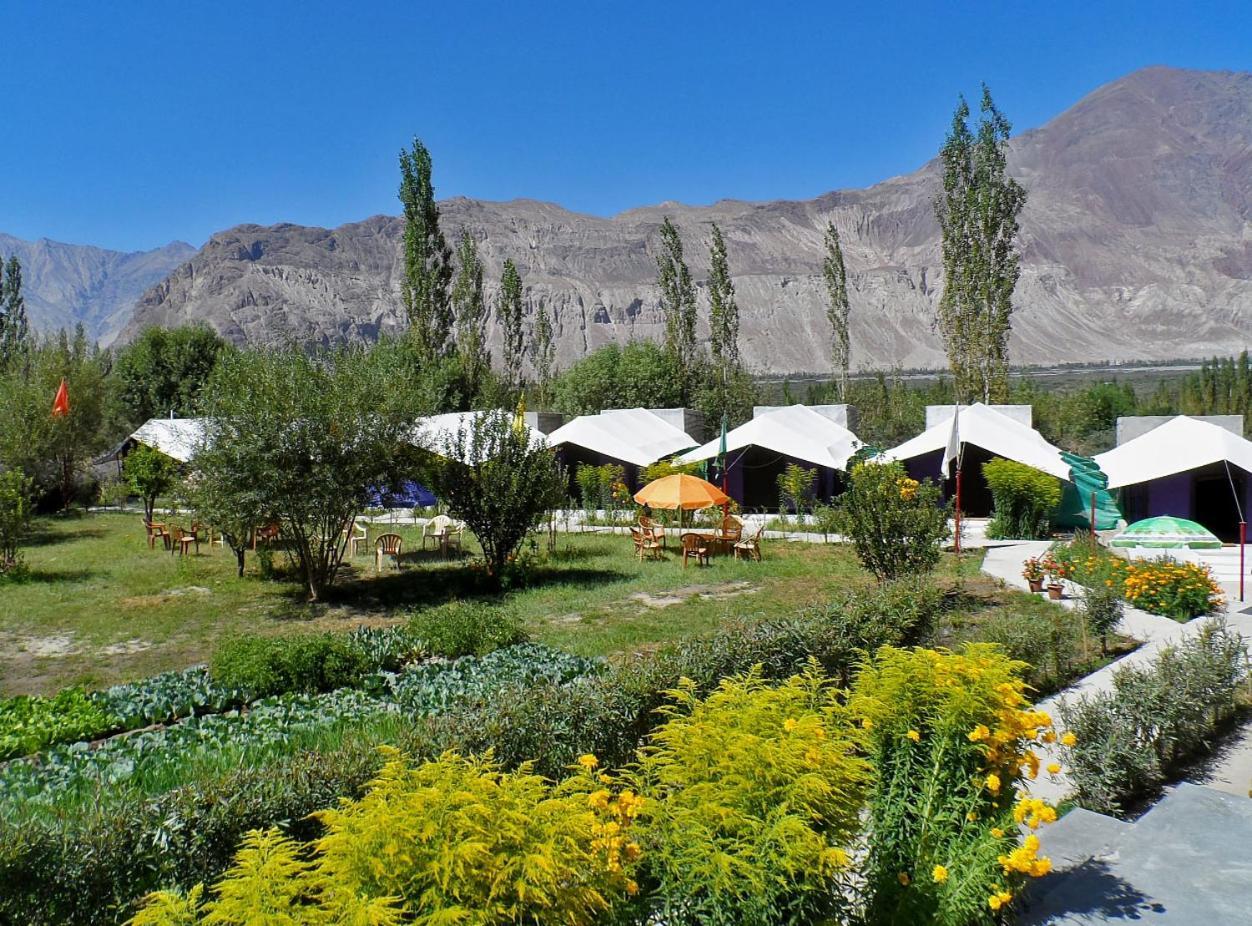 Tiger Camp Nubra Hotel Exterior photo